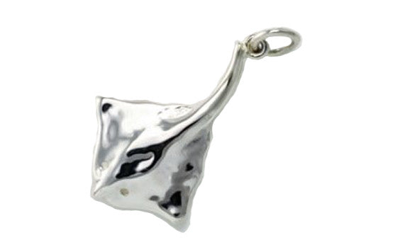 Silver Sleek Ray Pendant